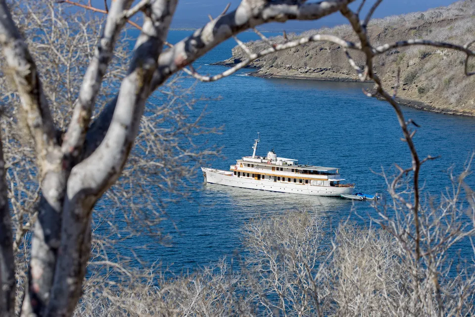 Grace-Tagus-Cove