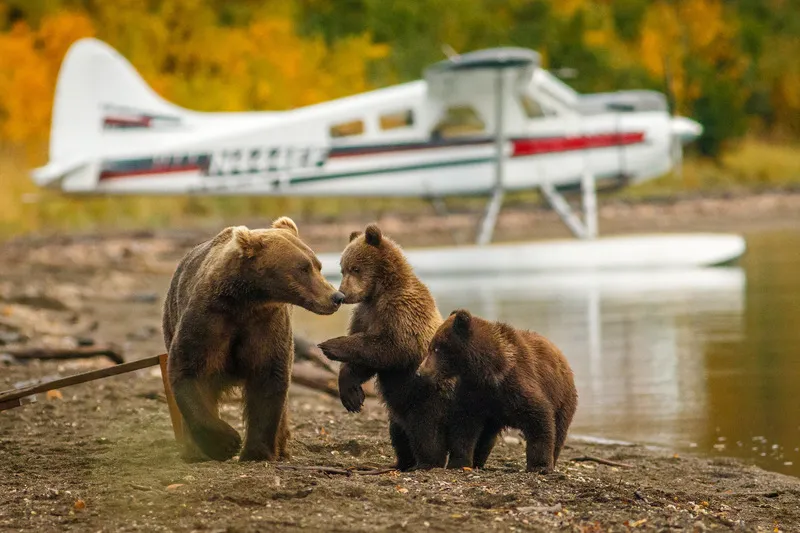 Yacht charter in Alaska